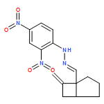 Bicyclo[3.2.0]heptane-1-carboxaldehyde, 7-methylene-, 2-(2,4-dinitrophenyl)hydrazone