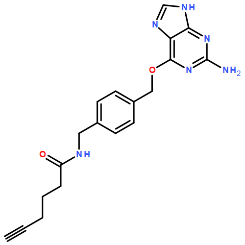 5-Hexynamide, N-[[4-[[(2-amino-9H-purin-6-yl)oxy]methyl]phenyl]methyl]- 